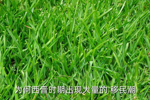 為何西晉時(shí)期出現(xiàn)大量的 移民潮
