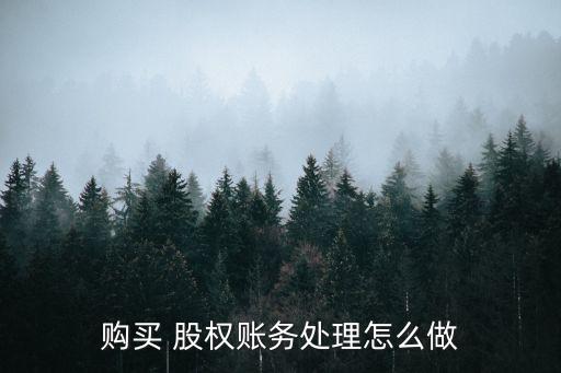 購(gòu)買 股權(quán)賬務(wù)處理怎么做