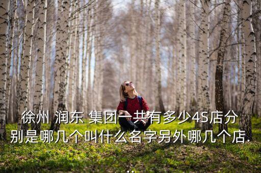 徐州 潤東 集團(tuán)一共有多少4S店分別是哪幾個(gè)叫什么名字另外哪幾個(gè)店...