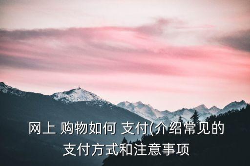 銀行網上購物支付的業(yè)務說明