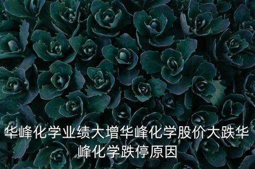 華峰化學(xué)業(yè)績大增華峰化學(xué)股價大跌華峰化學(xué)跌停原因