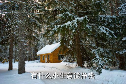 有什么小生意能掙錢(qián)