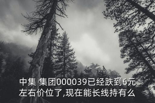 中集集團(tuán)A股最底收股價