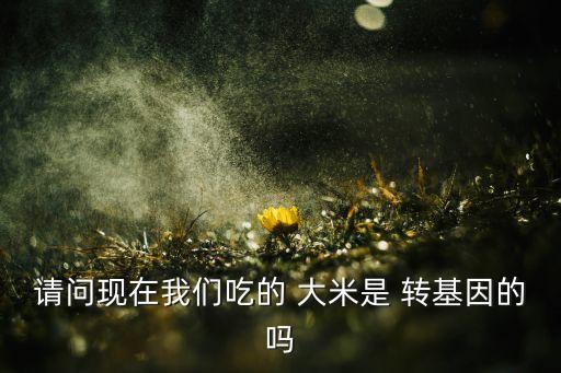請問現在我們吃的 大米是 轉基因的嗎