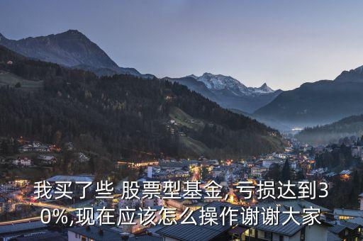 我買(mǎi)了些 股票型基金, 虧損達(dá)到30%,現(xiàn)在應(yīng)該怎么操作謝謝大家