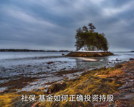 社?；鹚牧阋唤M合,全國社?；鸾M合