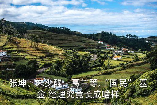 張坤、朱少醒、葛蘭等,“國民” 基金 經(jīng)理究竟長成啥樣