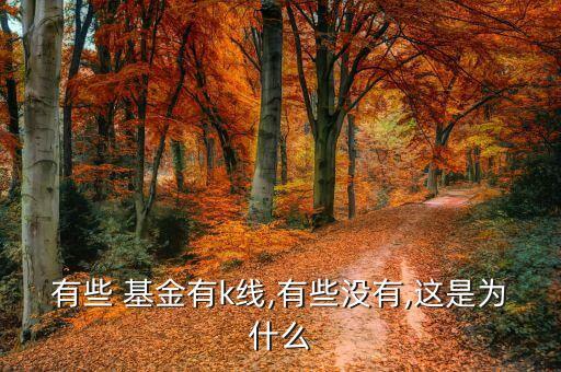 有些 基金有k線(xiàn),有些沒(méi)有,這是為什么