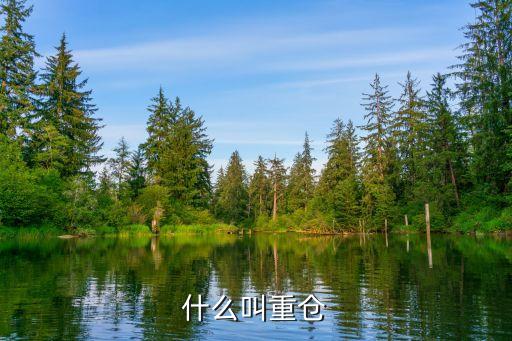什么是基金重倉股,社?；鹬貍}股一覽