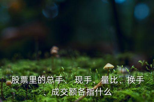  股票里的總手、 現(xiàn)手、量比、換手、成交額各指什么