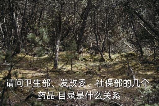 請(qǐng)問衛(wèi)生部、發(fā)改委、社保部的幾個(gè) 藥品 目錄是什么關(guān)系
