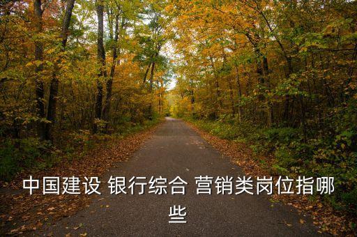 中國(guó)建設(shè) 銀行綜合 營(yíng)銷(xiāo)類(lèi)崗位指哪些