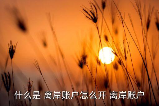 什么是 離岸賬戶(hù)怎么開(kāi) 離岸賬戶(hù)