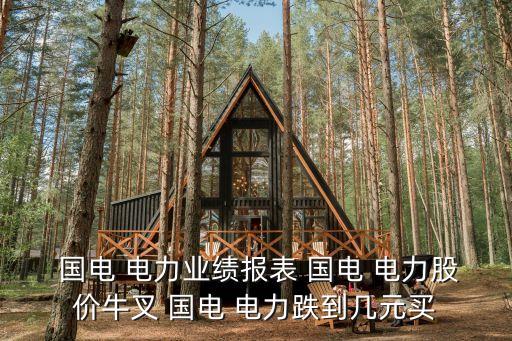  國電 電力業(yè)績(jī)報(bào)表 國電 電力股價(jià)牛叉 國電 電力跌到幾元買
