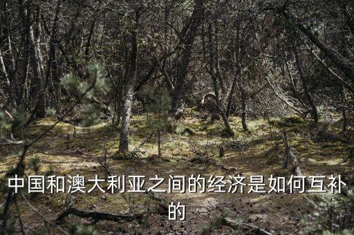 中國和澳大利亞之間的經濟是如何互補的