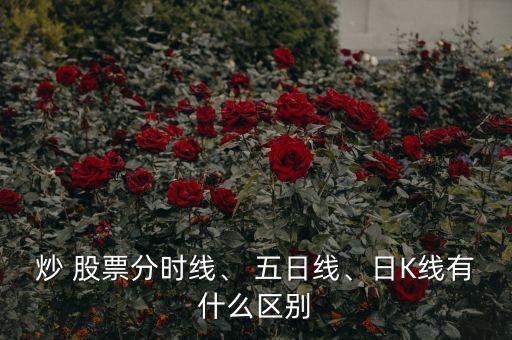 炒 股票分時(shí)線、 五日線、日K線有什么區(qū)別