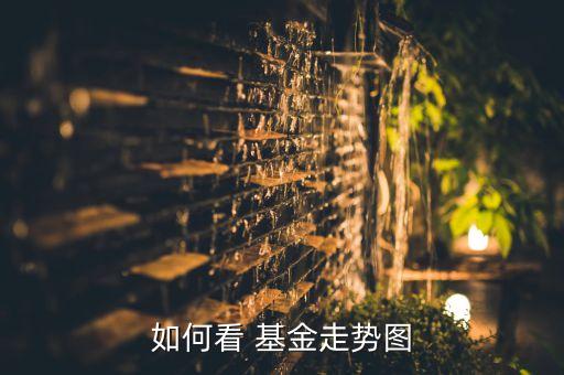 基金圖怎么看,基金怎么看實(shí)時漲跌