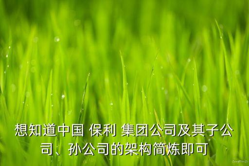 想知道中國 保利 集團公司及其子公司、孫公司的架構簡煉即可