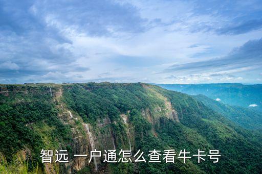 智遠(yuǎn) 一戶通怎么查看牛卡號