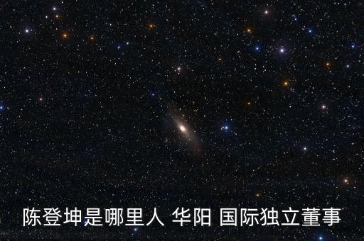 陳登坤是哪里人 華陽(yáng) 國(guó)際獨(dú)立董事
