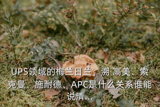 UPS領(lǐng)域的梅蘭日蘭、溯 高美、索克曼、施耐德、APC是什么關(guān)系誰能說清...