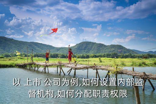 以 上市 公司為例,如何設(shè)置內(nèi)部監(jiān)督機構(gòu),如何分配職責(zé)權(quán)限