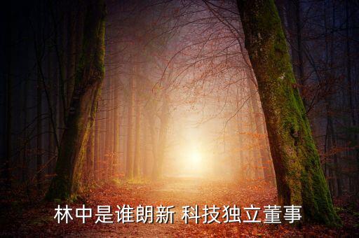 林中是誰(shuí)朗新 科技獨(dú)立董事