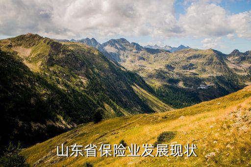  山東省保險業(yè)發(fā)展現狀