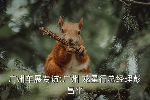 廣州車展專訪:廣州 龍星行總經理彭昌平