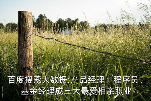 百度搜索大數(shù)據(jù):產(chǎn)品經(jīng)理、程序員、 基金經(jīng)理成三大最愛相親職業(yè)