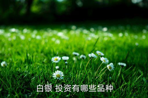 中國(guó)白銀集團(tuán)投資銀條,為什么投資銀條比白銀價(jià)格高