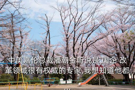 中美嘉倫總裁潘朝金聽說是 國企 改革領域很有權威的專家,我想知道他都...
