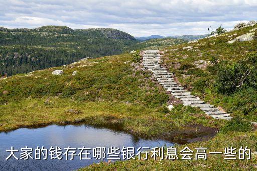 大家的錢(qián)存在哪些銀行利息會(huì)高一些的