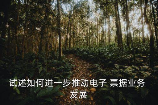 中國票據(jù)市場(chǎng)的發(fā)展及其法律保障研究