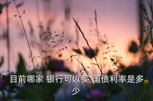 目前哪家 銀行可以買 國(guó)債利率是多少
