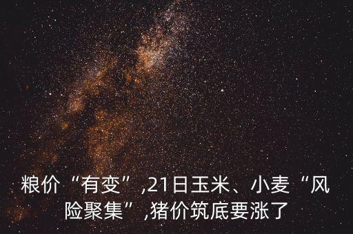 糧價(jià)“有變”,21日玉米、小麥“風(fēng)險(xiǎn)聚集”,豬價(jià)筑底要漲了