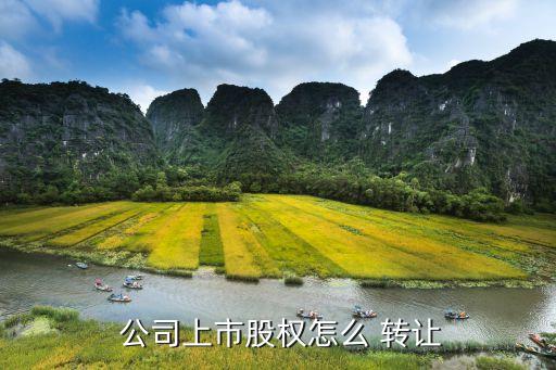  公司上市股權怎么 轉讓