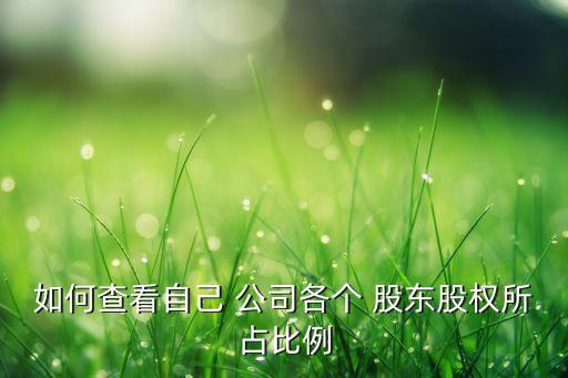 一般小公司怎么查詢(xún)股東,怎么查詢(xún)名下有沒(méi)有公司