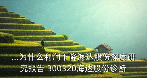 ...為什么利潤下降海達(dá)股份深度研究報告 300320海達(dá)股份診斷