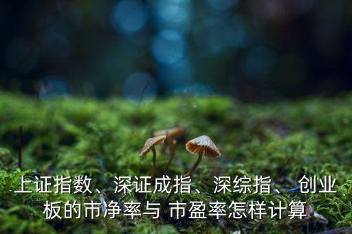 上證指數(shù)、深證成指、深綜指、 創(chuàng)業(yè)板的市凈率與 市盈率怎樣計(jì)算