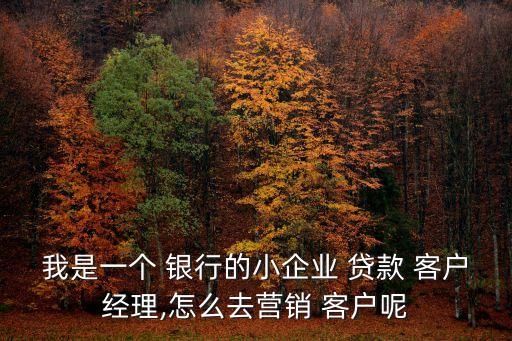 我是一個(gè) 銀行的小企業(yè) 貸款 客戶經(jīng)理,怎么去營(yíng)銷(xiāo) 客戶呢