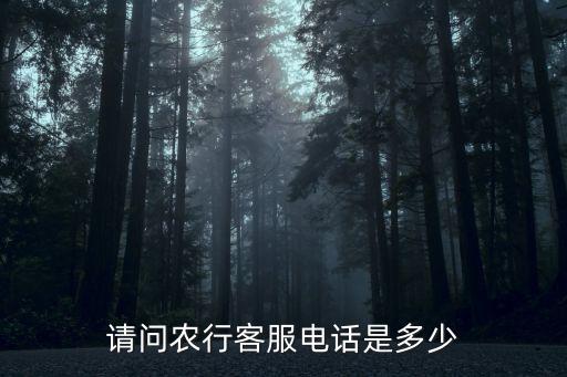 請(qǐng)問(wèn)農(nóng)行客服電話(huà)是多少