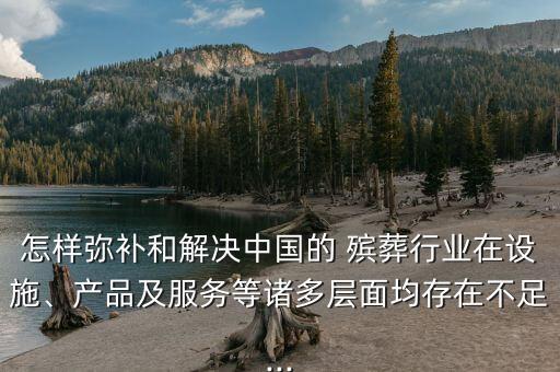 怎樣彌補(bǔ)和解決中國的 殯葬行業(yè)在設(shè)施、產(chǎn)品及服務(wù)等諸多層面均存在不足...