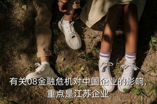有關(guān)08金融危機(jī)對中國企業(yè)的影響,重點是江蘇企業(yè)