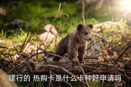 建行的 熱購卡是什么卡種好申請(qǐng)嗎