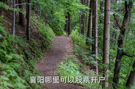襄陽(yáng)哪里可以股票開(kāi)戶