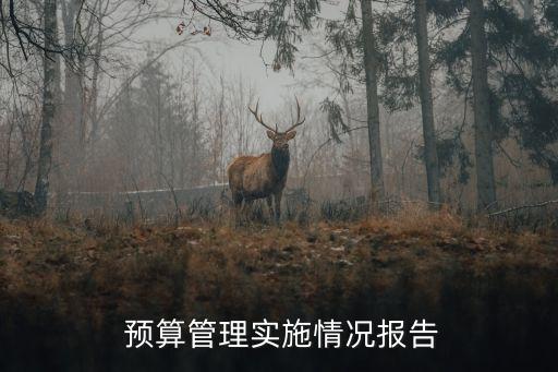  預(yù)算管理實(shí)施情況報告
