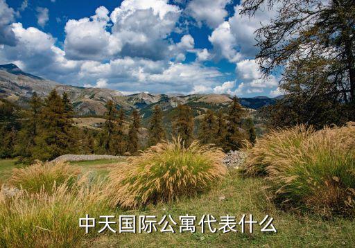 西藏山南中天房地產有限責任公司,中天鴻源房地產開發(fā)有限責任公司怎么樣