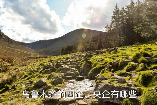  烏魯木齊的國企、央企有哪些