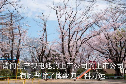 請問生產鎳電池的上市公司的上市公司有哪些除了比亞迪、科力遠